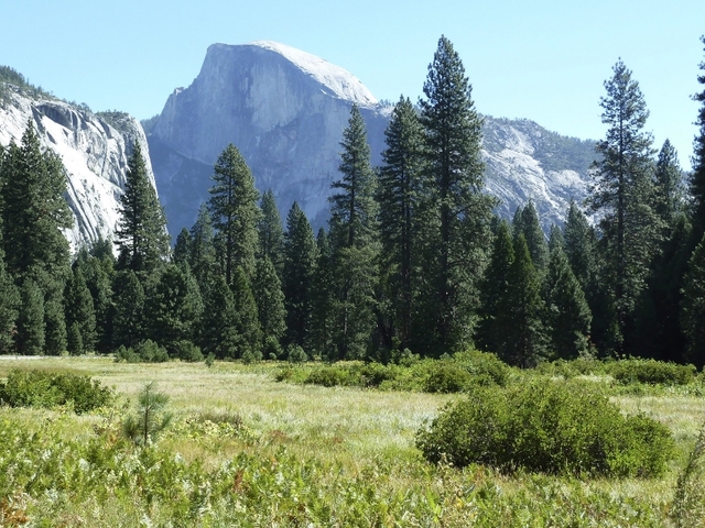 Officials: Two die after falling from overlook in Yosemite National Park