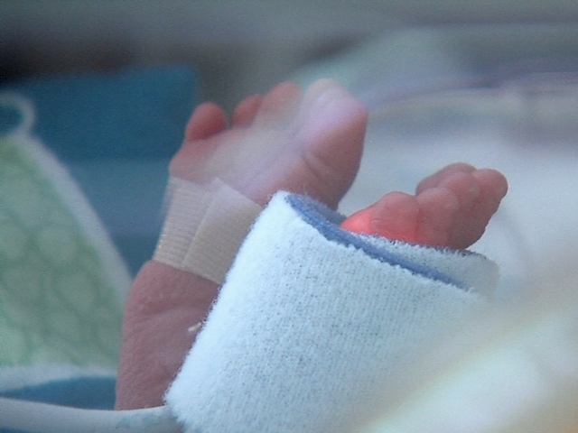 Newborn given to, breast-fed by wrong mother at Florida hospital