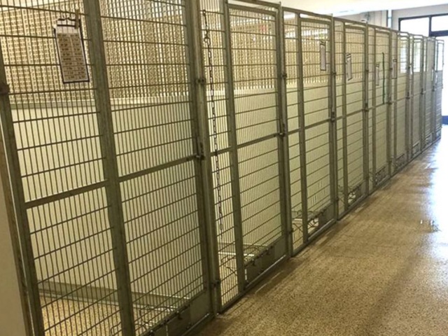 Tempe animal shelter needs rescuing