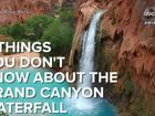 5 things you didn't know about Havasupai Falls