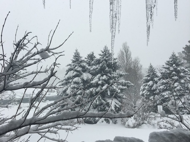 Up to 6 inches of snow fall in parts of northern Arizona