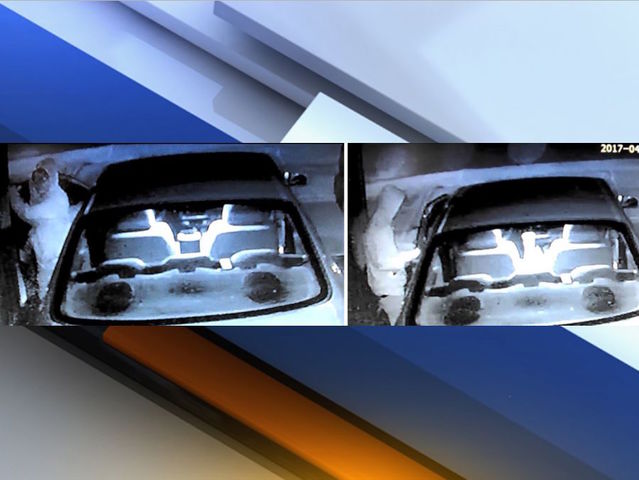Mesa police searching for suspect responsible for several car burglaries