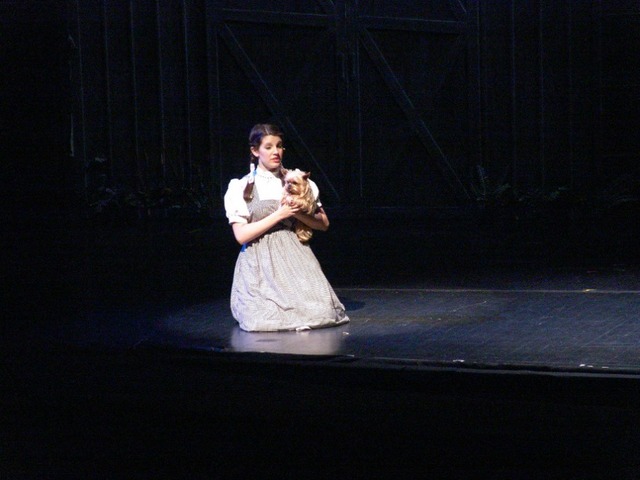 Valley Youth Theatre holding dog casting call for upcoming 'Wizard of Oz' show