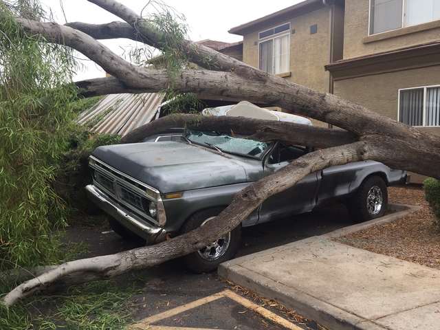 IMAGES: Monsoon 2017 hits the Valley