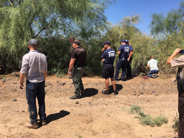 Horse falls into Litchfield Park ditch, woman in hospital