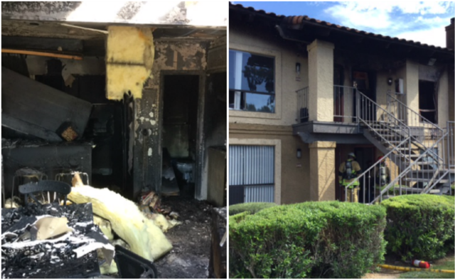 Phoenix Fire: Dog dead, 12 people displaced after fire at north Phoenix apartment