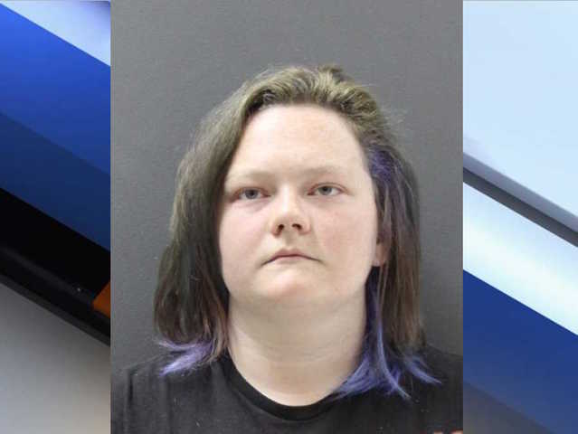 Former tenant of Prescott Valley home accused in deaths of multiple animals found on property