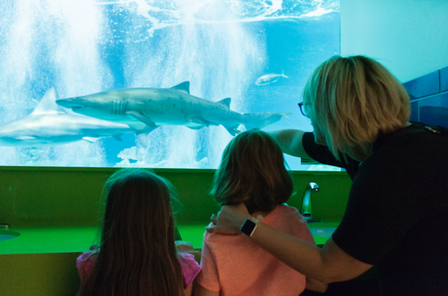 The best restrooms in America: 10 finalists named in Cintas Corporation contest