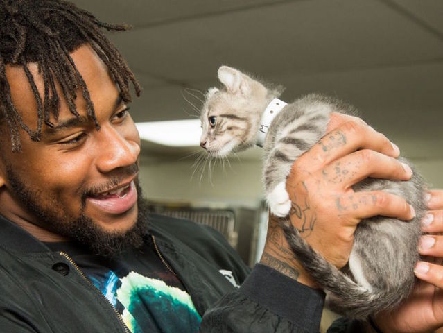 Arizona Cardinals player Robert Nkemdiche adopts 4 cats from Arizona Humane Society