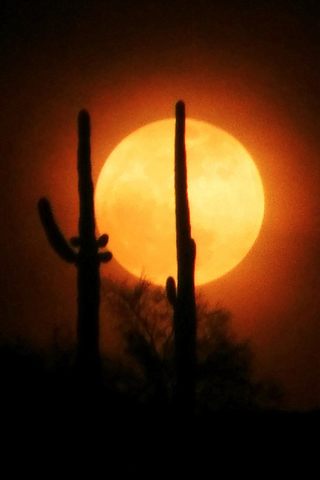 PHOTOS: Supermoon rises on first night of 2018