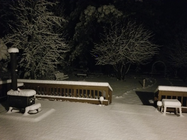 GALLERY: Snow in Arizona!