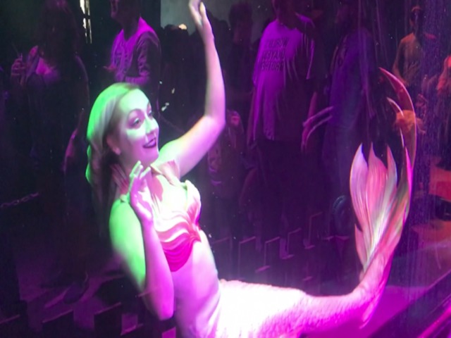 MERMAIDS! Play with Sea Fairies at AZ RenFest