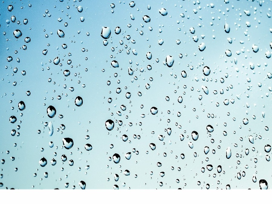 Rainfall totals See how much rain fell near you ABC15 Arizona