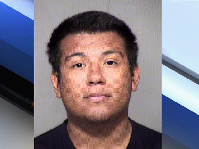 PD: Phoenix teen arrested after cat is shot 8 times with pellet gun