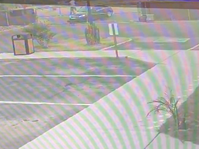 Dogs tossed over fence at Pinal County Animal Care and Control