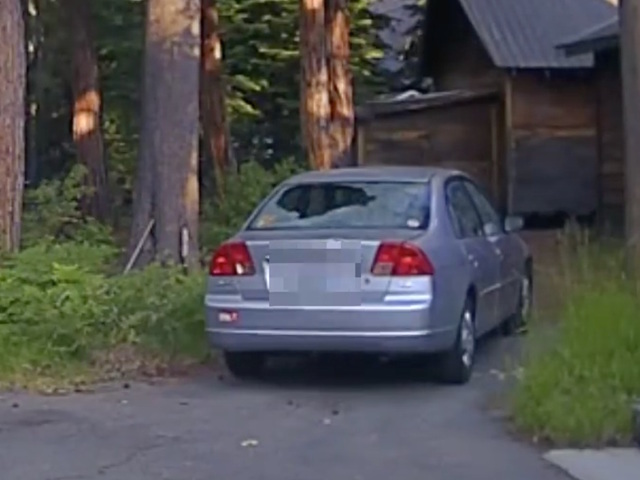 California deputy shoots out windows of car to free trapped bear (VIDEO)