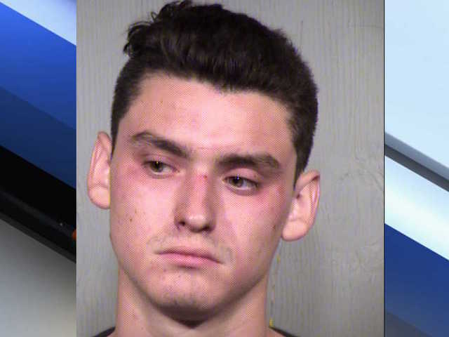 PD: Man attempted to hit Wickenburg officer
