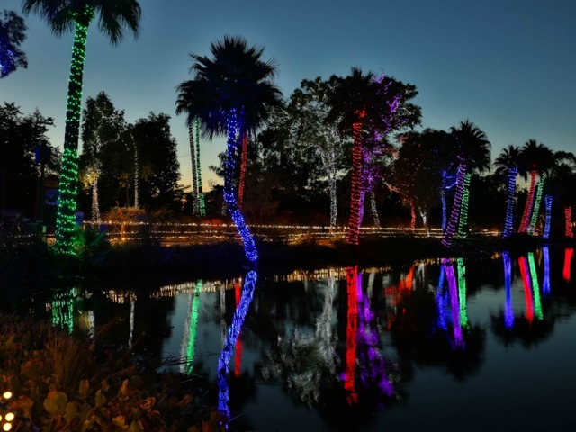 Phoenix Things To Do: 16 events you do not want to miss this week