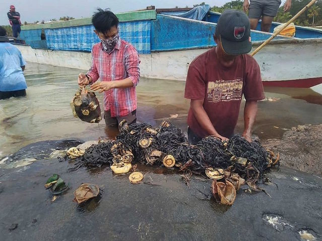 115 plastic cups, 2 flip flops found inside dead whale